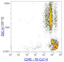 Anti-Human CD45 (HI30)，PE-Cy7 流式抗体 - 结果示例图片