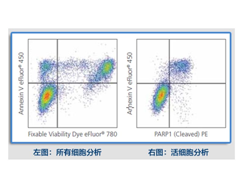 懂了这些知识，能帮你做好Th1/Th2检测