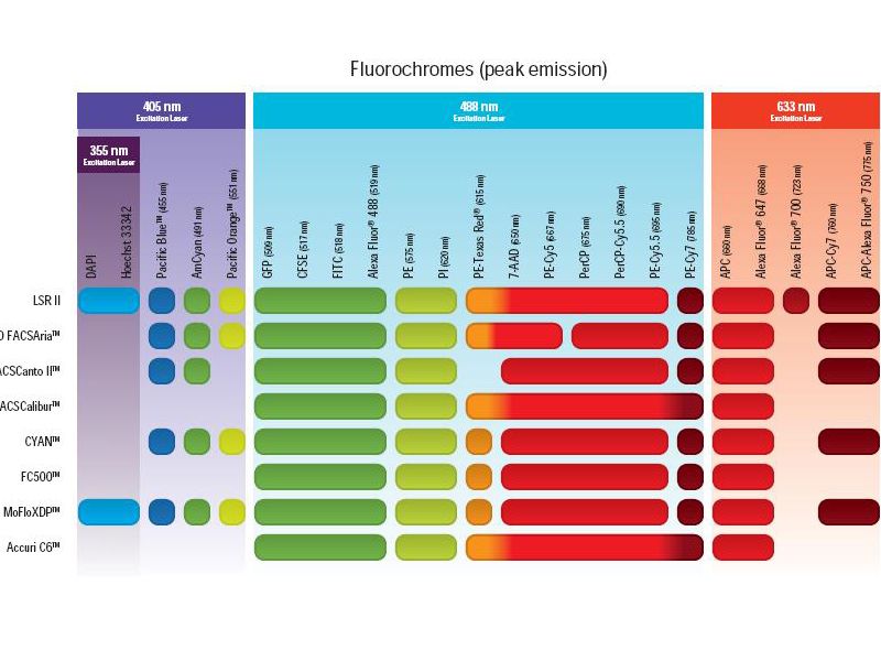 Read more about the article 哪些荧光素适合您的流式细胞仪