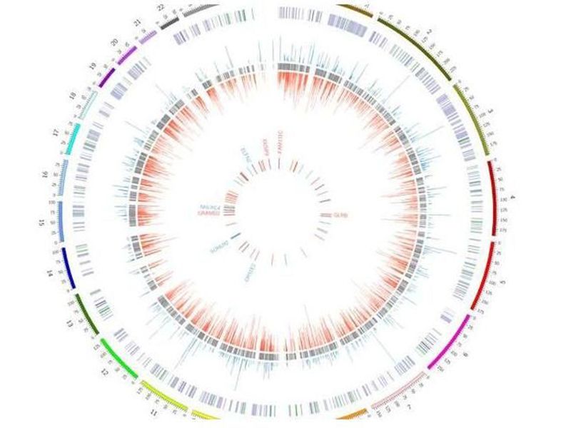 Read more about the article 科学家有望开发出治疗恶性前列腺癌的个体化靶向疗法