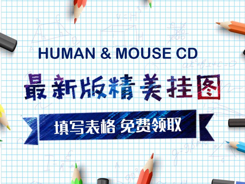 Read more about the article 最新human &mouse CD  精美海报，欢迎索取!