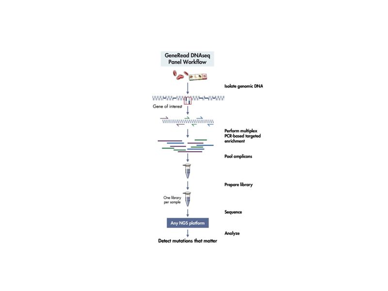 Read more about the article QIAGEN15个优化方案降低NGS高通量测序成本