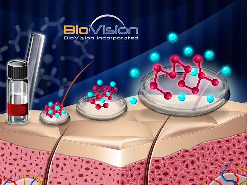 Read more about the article Biovision氨基酸和蛋白质分析