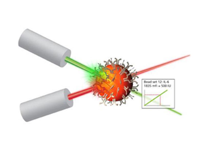 Read more about the article eBioscience Luminex试剂更胜一筹