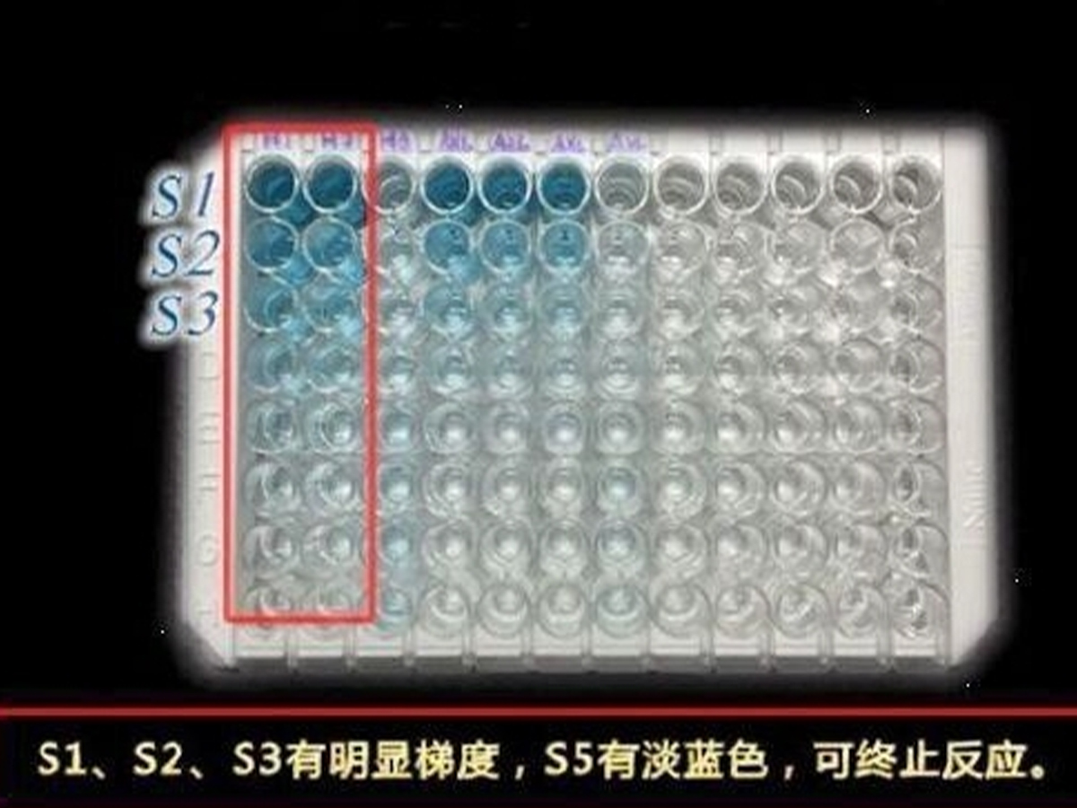 一文掌握ELISA实验显色判断、数据分析及标曲拟合